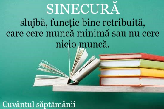 2025. Sinecura ca politică de stat. Ana Smărăndița Irina. 2025. Sinecura ca politică de stat.