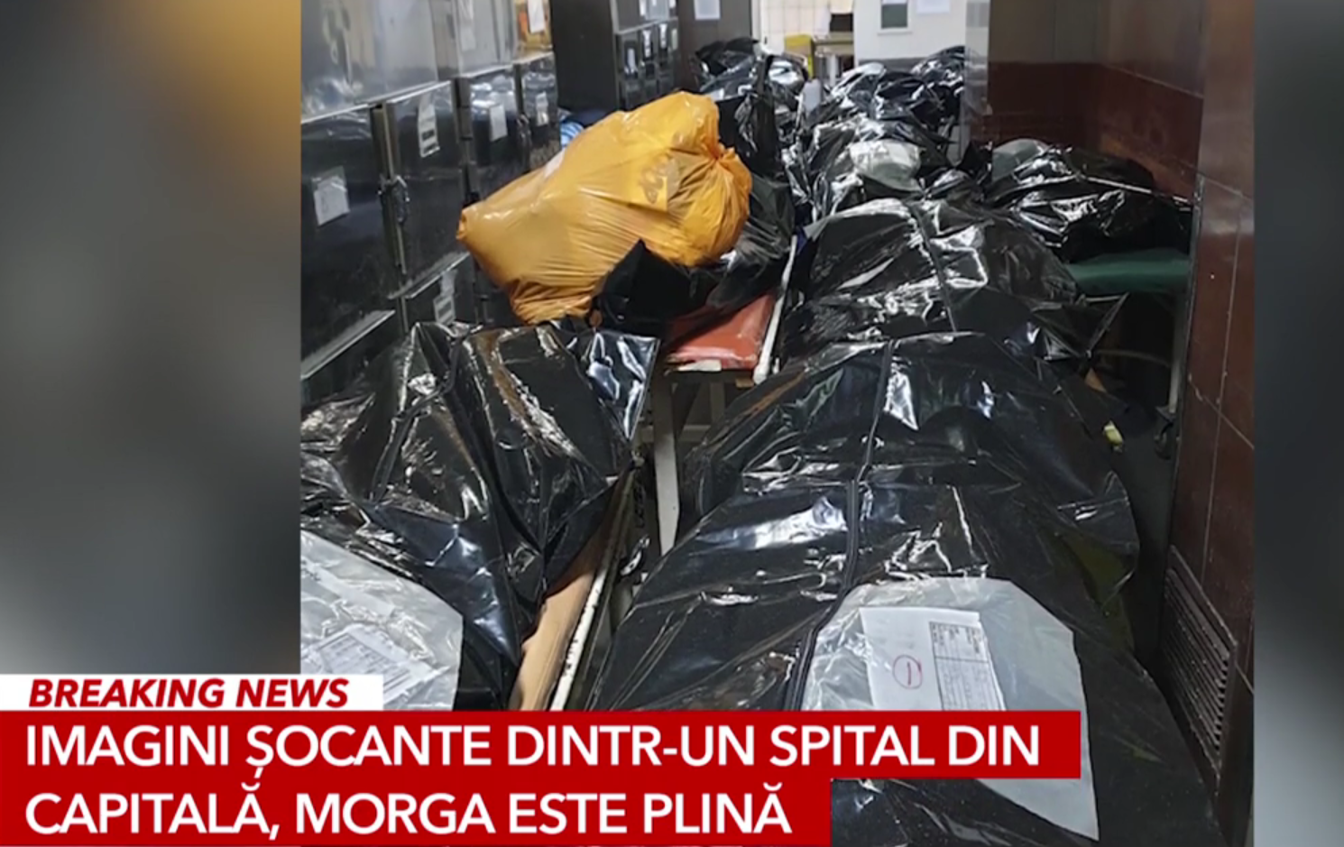 2026. PANDEMIA DE COVID: criză sanitară reală sau accelerator global de avere și putere? 2026. PANDEMIA DE COVID: criză sanitară reală sau accelerator global de avere și putere? Cine a câștigat, cine a murit și cine a tăcut brusc după 24 februarie 2022.